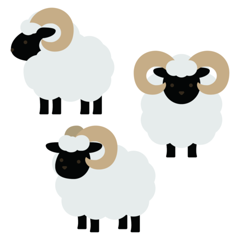 Cute fluffy sheep with curved horns and black faces in various poses