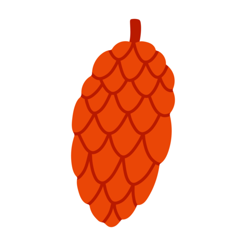 A detailed flat vector illustration of a long, oval-shaped pine cone in warm