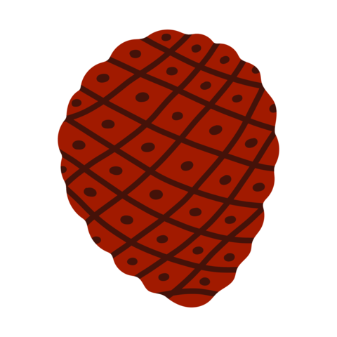 A flat vector illustration of an oval pine cone featuring a dark reddish-brown
