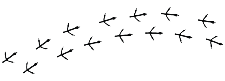 Bird foot mark print silhouette. Bird trail foot. Authentic bird track