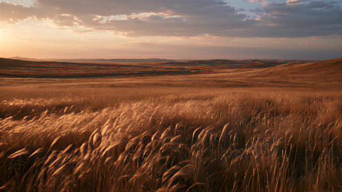 Természet