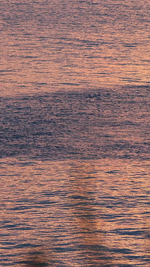 Sunset in Setouchi where the surface changes due to small sardines,Vertical