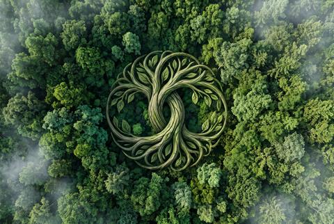 Tree of Life Symbol Shaped as Corporate Sustainability Emblem over Green Forest Aerial View