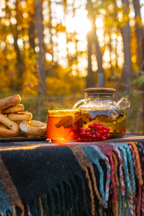 Autumn Picnic Table With Tea, Orange Slices and Red viburnum berries