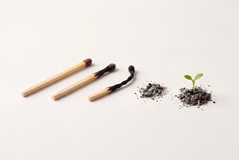 Matchstick Life Cycle Concept with New Green Sprout Growing from Ash Pile