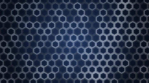 Japanese Kikko Tortoise Shell Pattern Navy Loop 4K