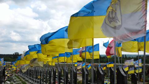 View on blue-yellow flags at countless graves of ukrainian soldiers alley of glory in Kharkiv. This 
