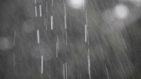 Raindrops