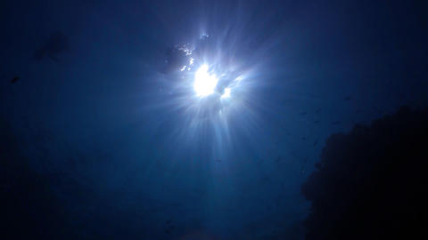 Underwater scene with sunrays