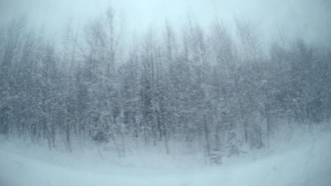 Travel in the winter woods of Siberia