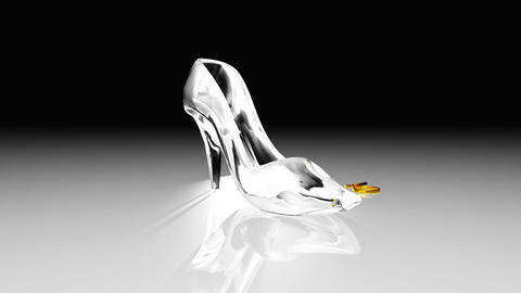 Cinderella shoes
