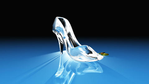 Cinderella shoes