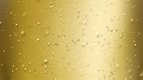 champagne bubbles focus