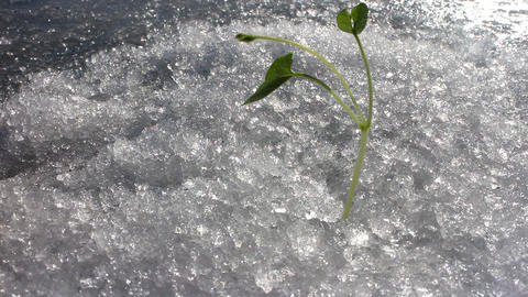 winter outcome
