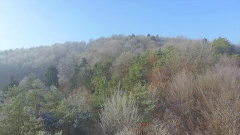 AERIAL: Frozen forest in winter
