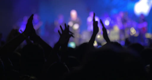 Performing singer and his excited fans