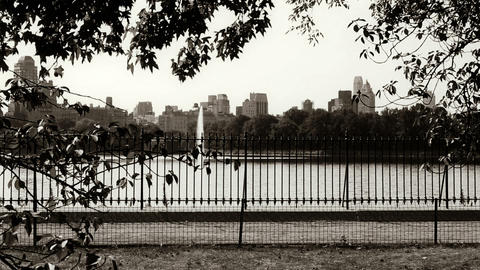 Central Park in New York