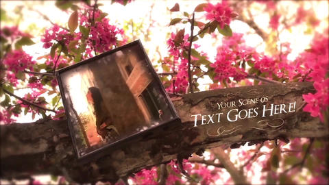 Tree of Memories After Effects template 8795795 | MotionElements