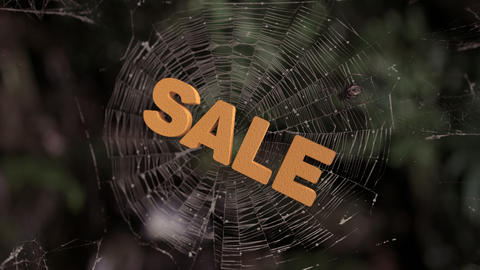 Spider web sale abstract